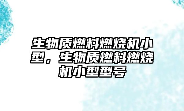 生物質(zhì)燃料燃燒機(jī)小型，生物質(zhì)燃料燃燒機(jī)小型型號(hào)