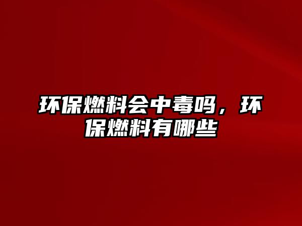 環(huán)保燃料會中毒嗎，環(huán)保燃料有哪些