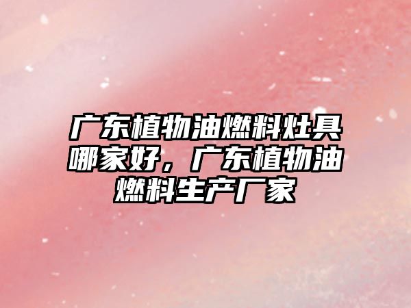 廣東植物油燃料灶具哪家好，廣東植物油燃料生產(chǎn)廠家