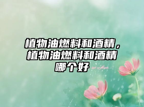 植物油燃料和酒精，植物油燃料和酒精哪個好
