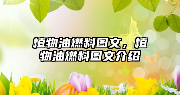 植物油燃料圖文，植物油燃料圖文介紹