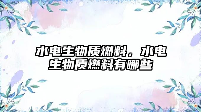 水電生物質(zhì)燃料，水電生物質(zhì)燃料有哪些