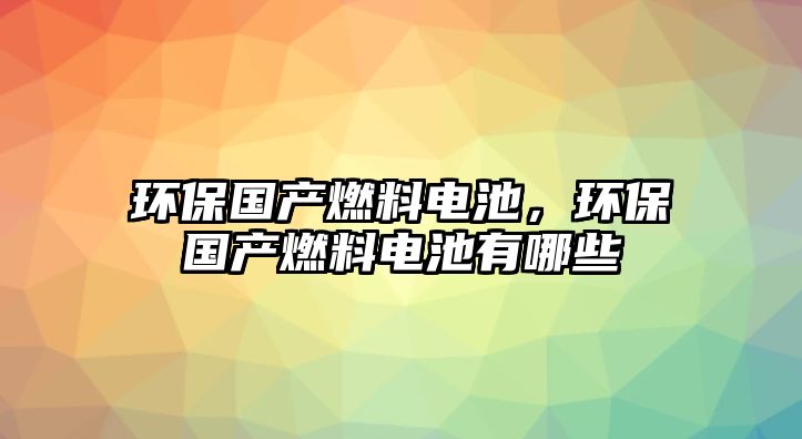 環(huán)保國產燃料電池，環(huán)保國產燃料電池有哪些