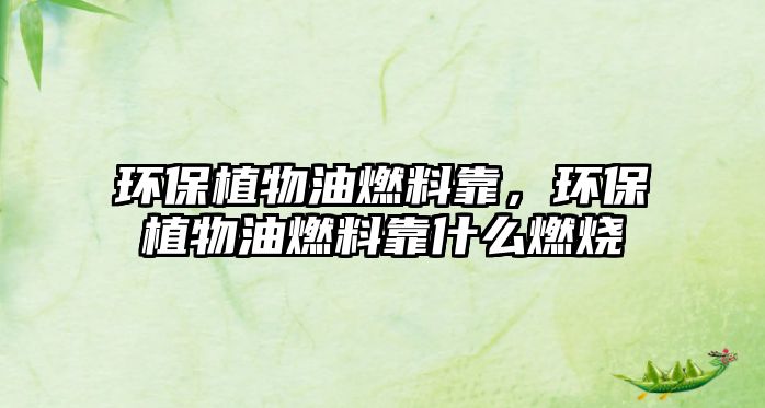 環(huán)保植物油燃料靠，環(huán)保植物油燃料靠什么燃燒