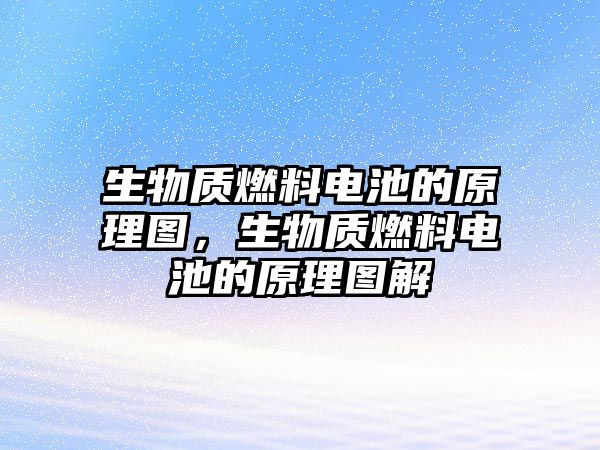 生物質(zhì)燃料電池的原理圖，生物質(zhì)燃料電池的原理圖解