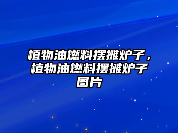植物油燃料擺攤爐子，植物油燃料擺攤爐子圖片