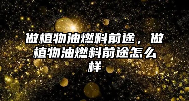 做植物油燃料前途，做植物油燃料前途怎么樣