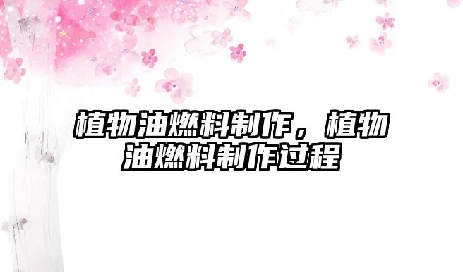 植物油燃料制作，植物油燃料制作過程