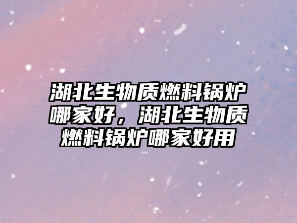 湖北生物質(zhì)燃料鍋爐哪家好，湖北生物質(zhì)燃料鍋爐哪家好用