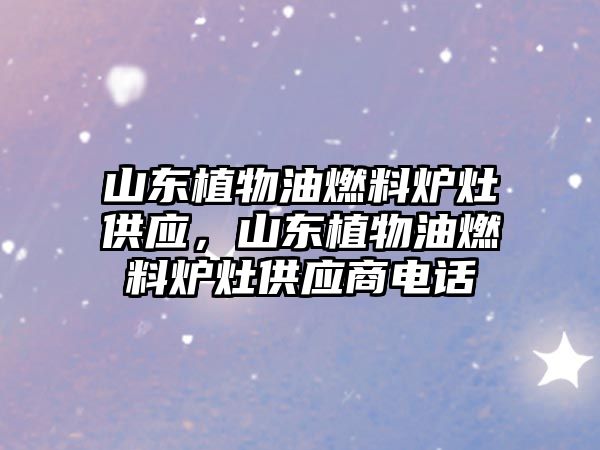 山東植物油燃料爐灶供應(yīng)，山東植物油燃料爐灶供應(yīng)商電話