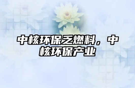 中核環(huán)保乏燃料，中核環(huán)保產(chǎn)業(yè)