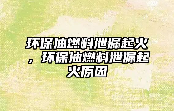 環(huán)保油燃料泄漏起火，環(huán)保油燃料泄漏起火原因
