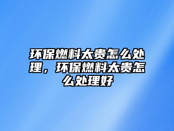 環(huán)保燃料太貴怎么處理，環(huán)保燃料太貴怎么處理好