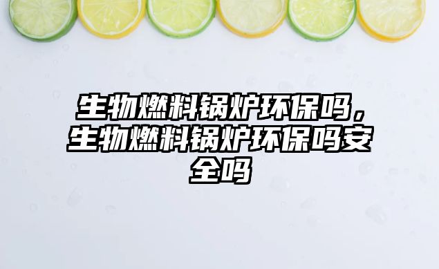 生物燃料鍋爐環(huán)保嗎，生物燃料鍋爐環(huán)保嗎安全嗎