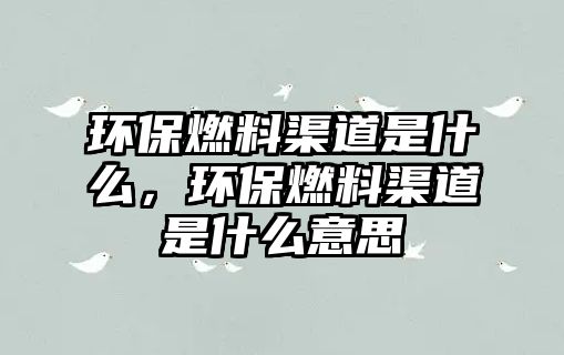 環(huán)保燃料渠道是什么，環(huán)保燃料渠道是什么意思