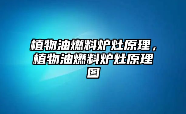 植物油燃料爐灶原理，植物油燃料爐灶原理圖