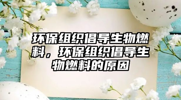 環(huán)保組織倡導(dǎo)生物燃料，環(huán)保組織倡導(dǎo)生物燃料的原因