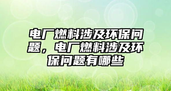 電廠燃料涉及環(huán)保問題，電廠燃料涉及環(huán)保問題有哪些