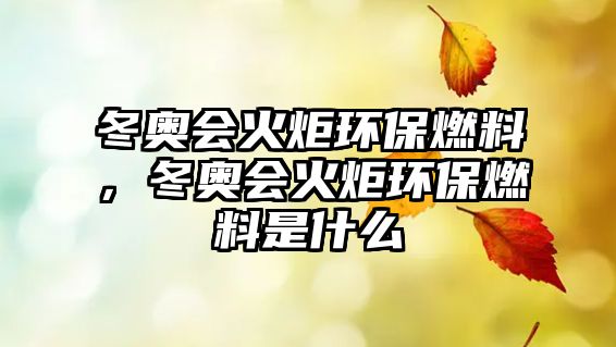 冬奧會火炬環(huán)保燃料，冬奧會火炬環(huán)保燃料是什么