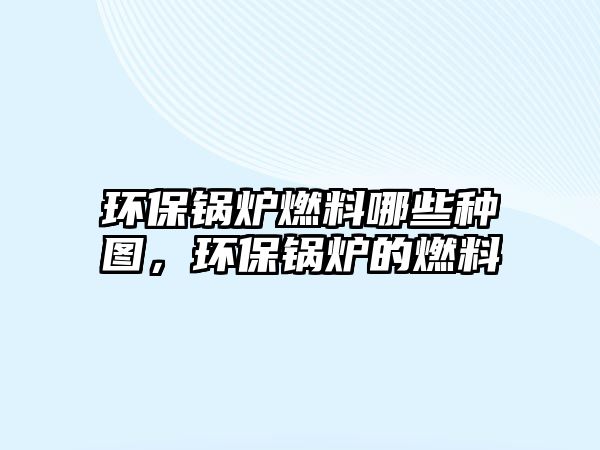 環(huán)保鍋爐燃料哪些種圖，環(huán)保鍋爐的燃料