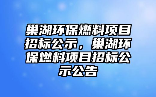 巢湖環(huán)保燃料項(xiàng)目招標(biāo)公示，巢湖環(huán)保燃料項(xiàng)目招標(biāo)公示公告
