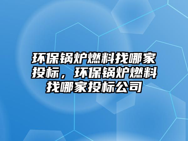 環(huán)保鍋爐燃料找哪家投標(biāo)，環(huán)保鍋爐燃料找哪家投標(biāo)公司