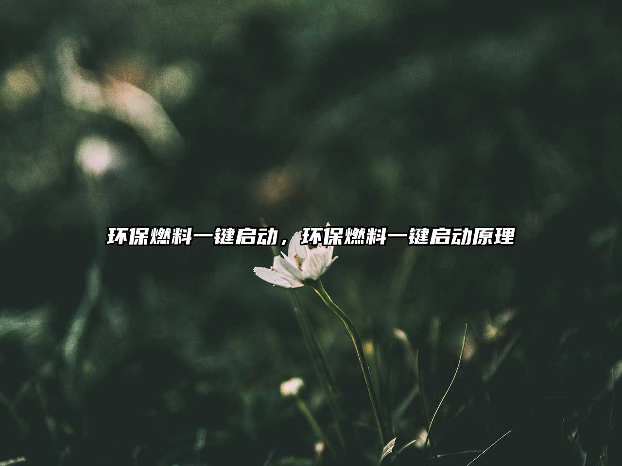環(huán)保燃料一鍵啟動，環(huán)保燃料一鍵啟動原理