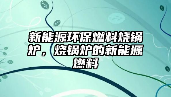 新能源環(huán)保燃料燒鍋爐，燒鍋爐的新能源燃料