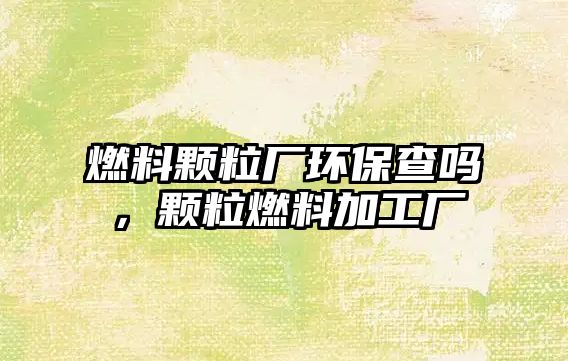 燃料顆粒廠環(huán)保查嗎，顆粒燃料加工廠