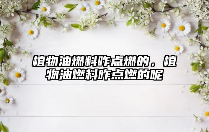 植物油燃料咋點(diǎn)燃的，植物油燃料咋點(diǎn)燃的呢