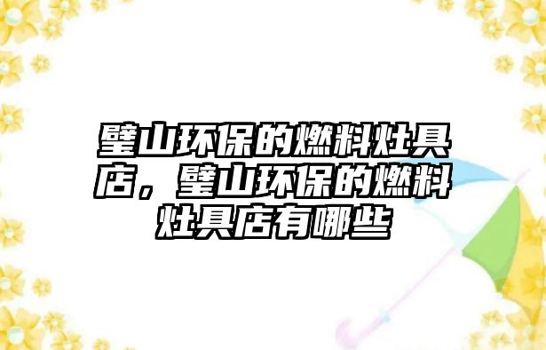 璧山環(huán)保的燃料灶具店，璧山環(huán)保的燃料灶具店有哪些