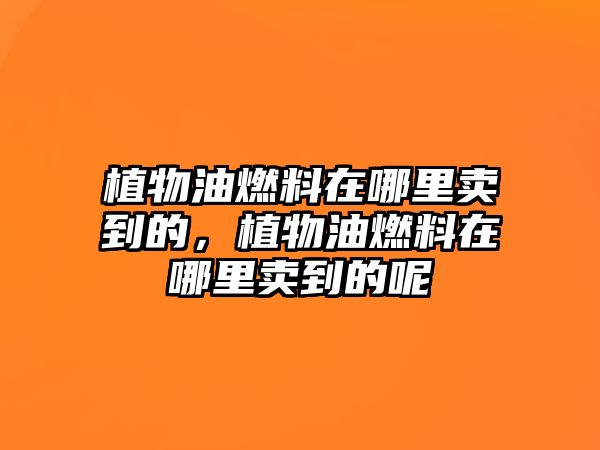 植物油燃料在哪里賣到的，植物油燃料在哪里賣到的呢