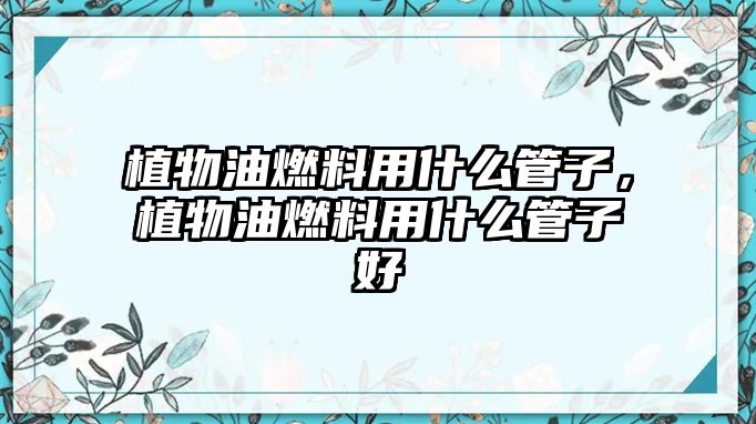 植物油燃料用什么管子，植物油燃料用什么管子好