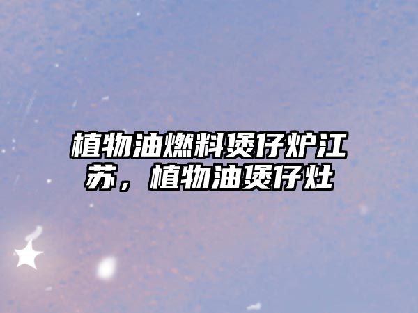 植物油燃料煲仔爐江蘇，植物油煲仔灶