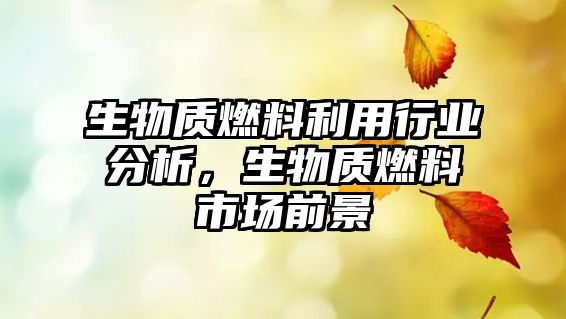 生物質(zhì)燃料利用行業(yè)分析，生物質(zhì)燃料市場(chǎng)前景