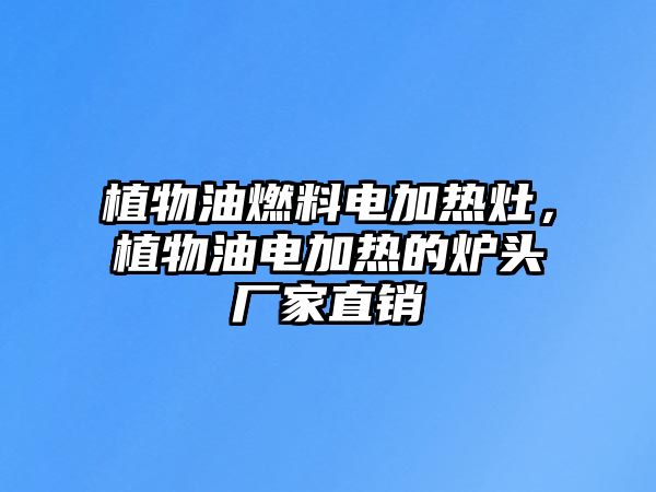 植物油燃料電加熱灶，植物油電加熱的爐頭廠家直銷