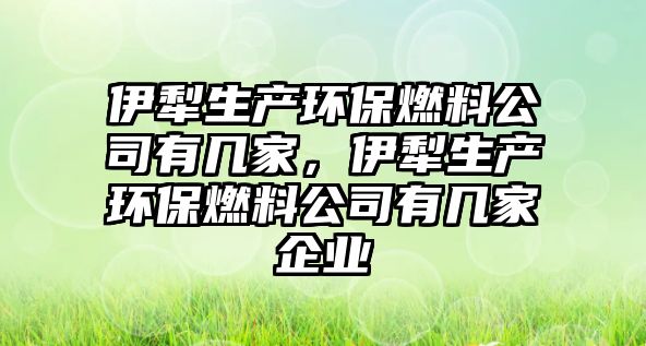 伊犁生產(chǎn)環(huán)保燃料公司有幾家，伊犁生產(chǎn)環(huán)保燃料公司有幾家企業(yè)