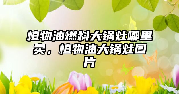 植物油燃料大鍋灶哪里賣，植物油大鍋灶圖片