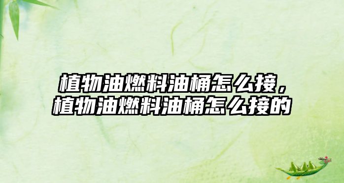 植物油燃料油桶怎么接，植物油燃料油桶怎么接的