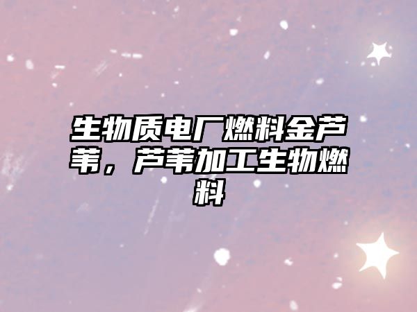 生物質(zhì)電廠燃料金蘆葦，蘆葦加工生物燃料