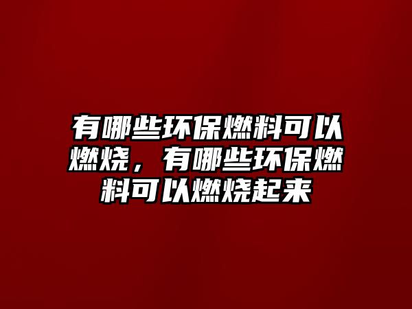 有哪些環(huán)保燃料可以燃燒，有哪些環(huán)保燃料可以燃燒起來