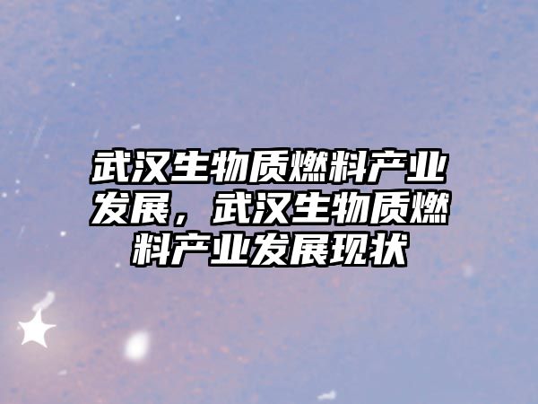 武漢生物質(zhì)燃料產(chǎn)業(yè)發(fā)展，武漢生物質(zhì)燃料產(chǎn)業(yè)發(fā)展現(xiàn)狀