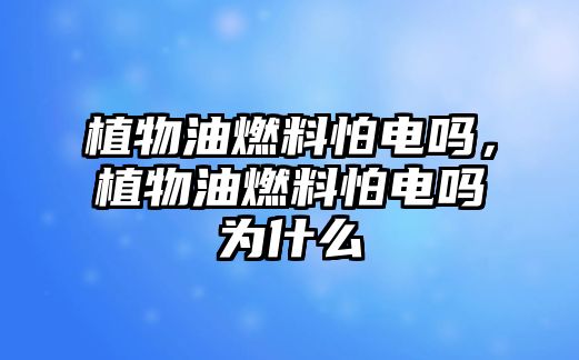植物油燃料怕電嗎，植物油燃料怕電嗎為什么