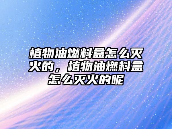植物油燃料盒怎么滅火的，植物油燃料盒怎么滅火的呢