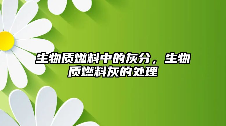 生物質(zhì)燃料中的灰分，生物質(zhì)燃料灰的處理