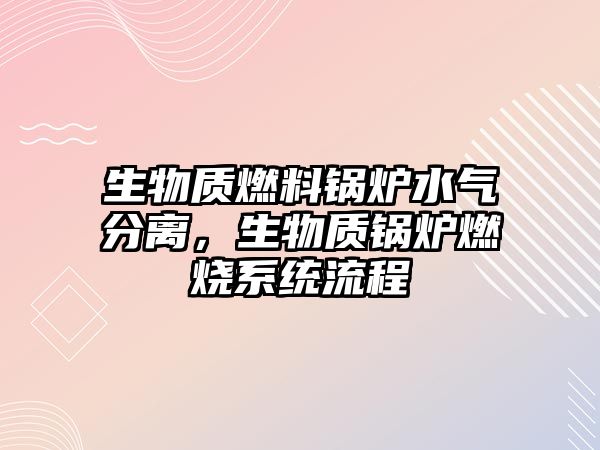 生物質(zhì)燃料鍋爐水氣分離，生物質(zhì)鍋爐燃燒系統(tǒng)流程