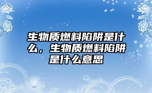 生物質(zhì)燃料陷阱是什么，生物質(zhì)燃料陷阱是什么意思