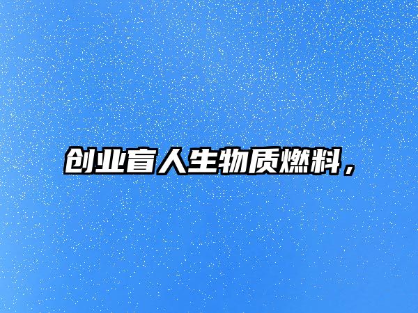 創(chuàng)業(yè)盲人生物質(zhì)燃料，