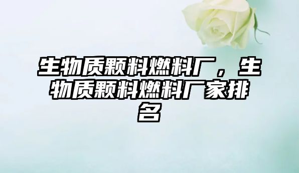 生物質(zhì)顆料燃料廠，生物質(zhì)顆料燃料廠家排名