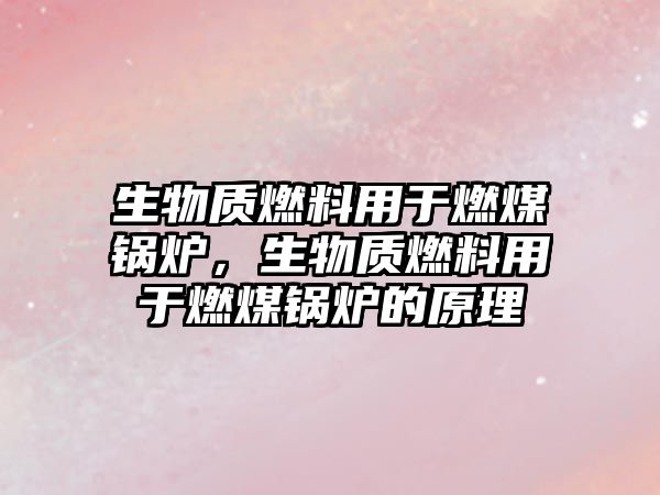生物質(zhì)燃料用于燃煤鍋爐，生物質(zhì)燃料用于燃煤鍋爐的原理